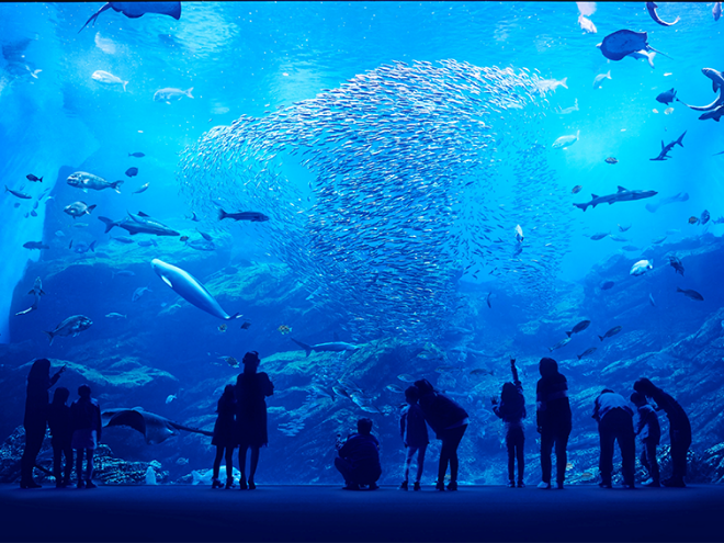 仙台うみの杜水族館